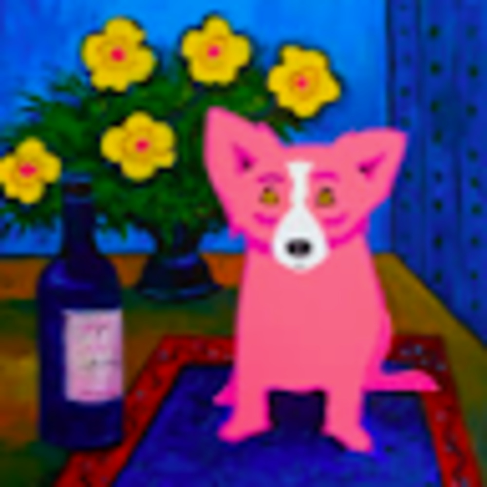 Meet your Posher, Izzy